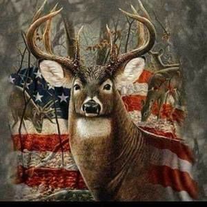 Meet your Posher, Earl